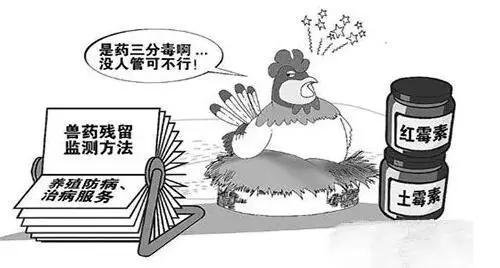 如何利用食品安全檢測儀來維護食品安全？