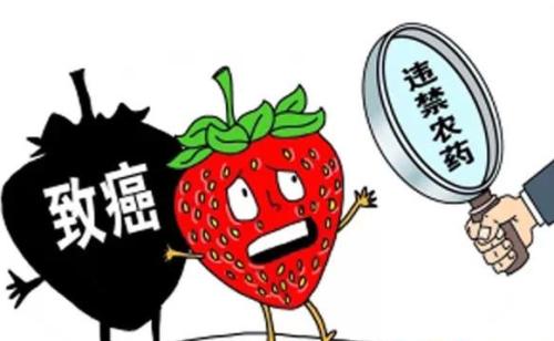 孩童的飲食安全如何注意？